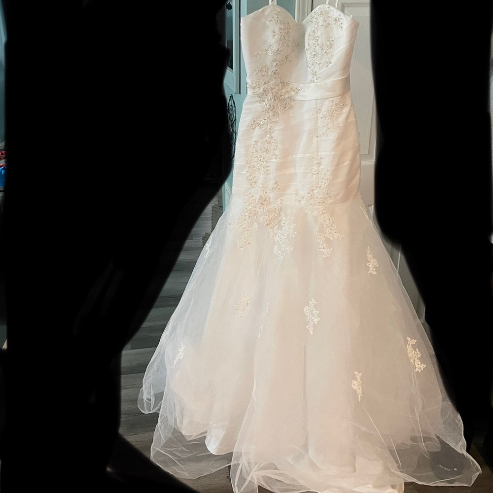 Christian Michele wedding dress and veil